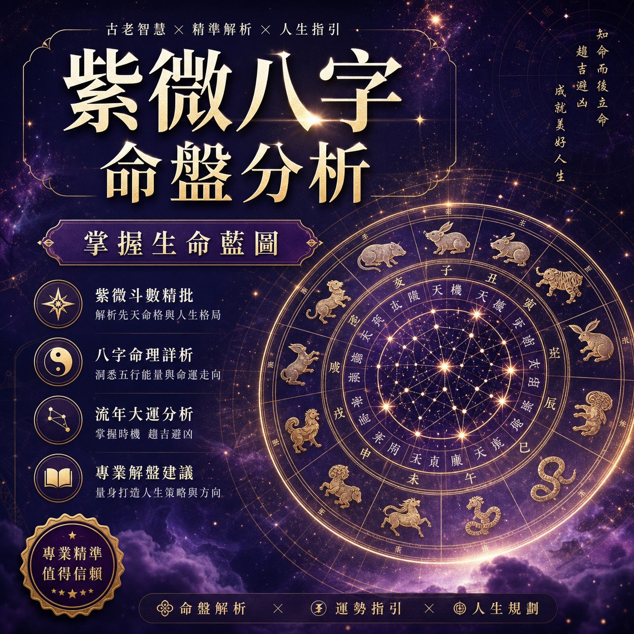 🔮 一對一紫微斗數命盤流年分析服務